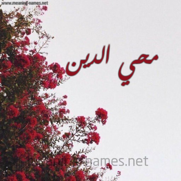 شكل 18 صوره الورد الأحمر للإسم بخط رقعة صورة اسم محي الدين Mohi-Aldin